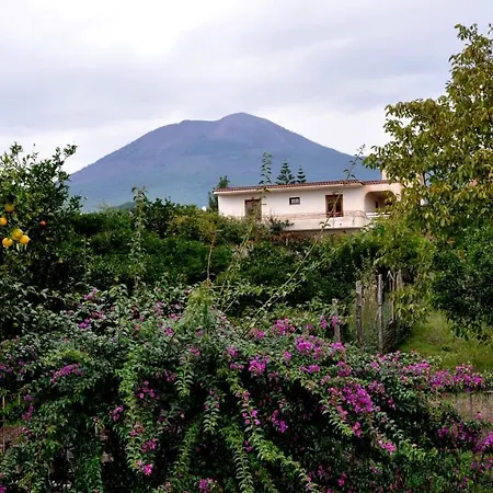 Casa Di Donna 3*