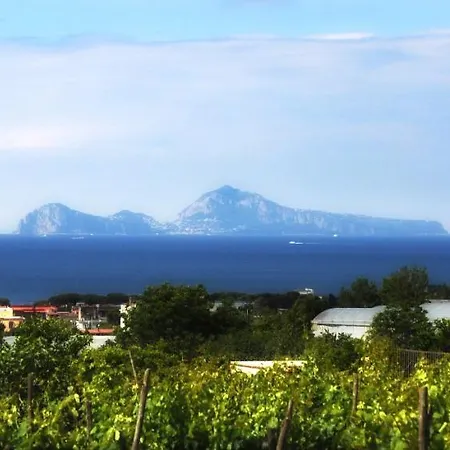 Bed & Breakfast Casa Di Donna 3*