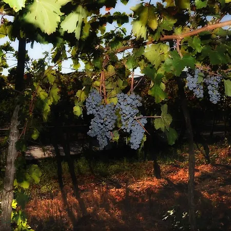 Casa Di Donna Alojamento de Acomodação e Pequeno-almoço Trecase