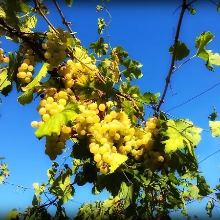 Casa Di Donna Alojamento de Acomodação e Pequeno-almoço Trecase
