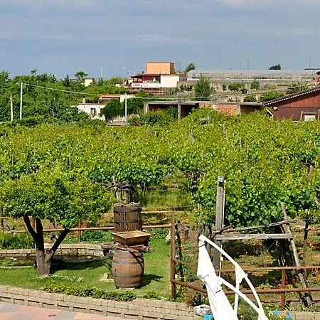 Casa Di Donna